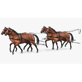 3D Team of Four Breast Collar Harness Walking Pose Fur model